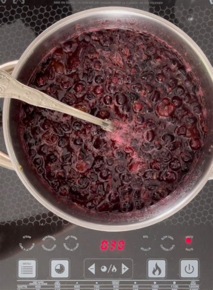 Can you eat jostaberry