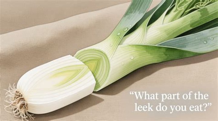 Can you eat leek roots