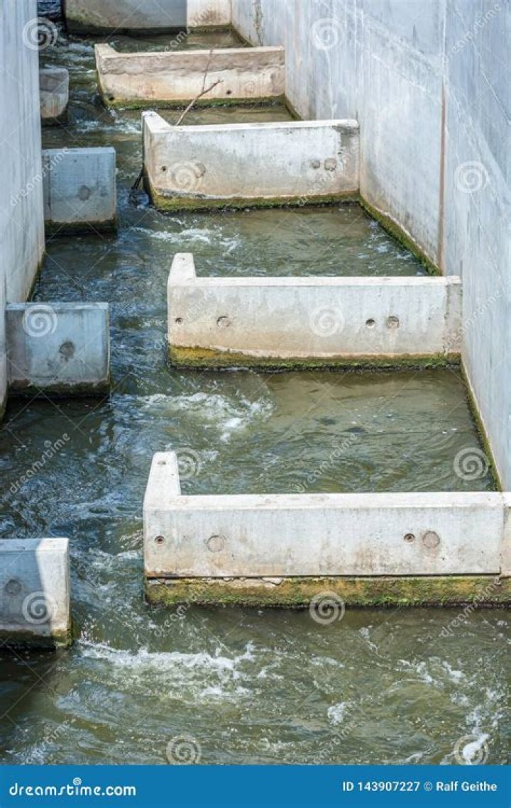 Can you fish at a weir