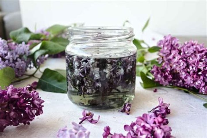 Can you make Lilac tea