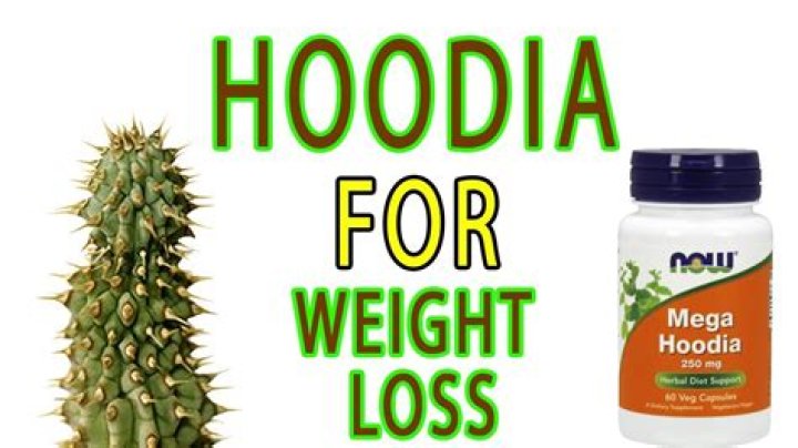 Is hoodia safe to take
