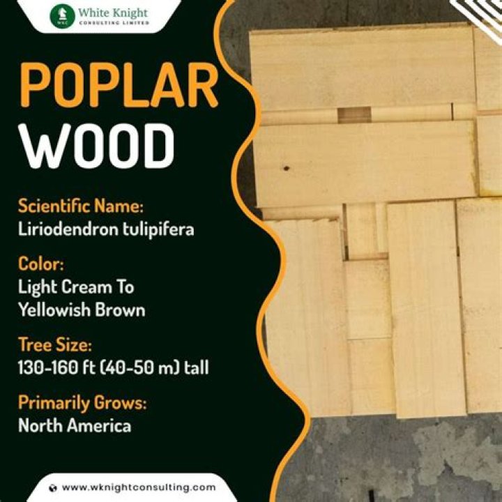 Is Poplar a wood light