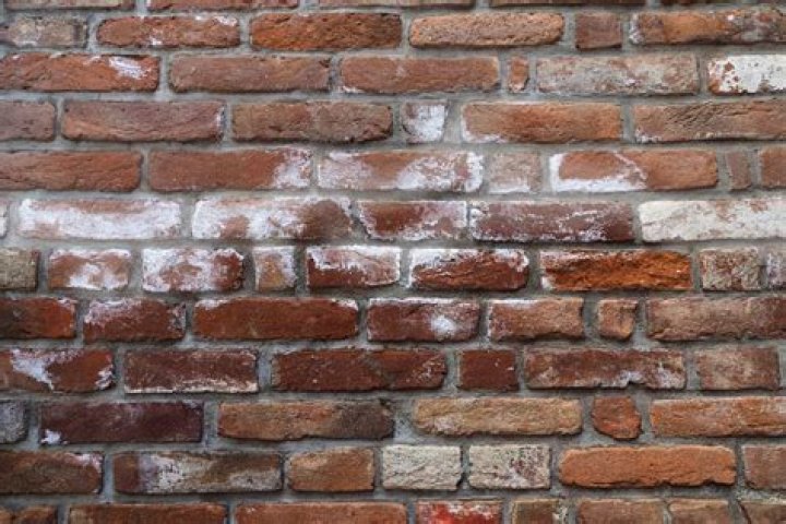 Is salt damp a problem