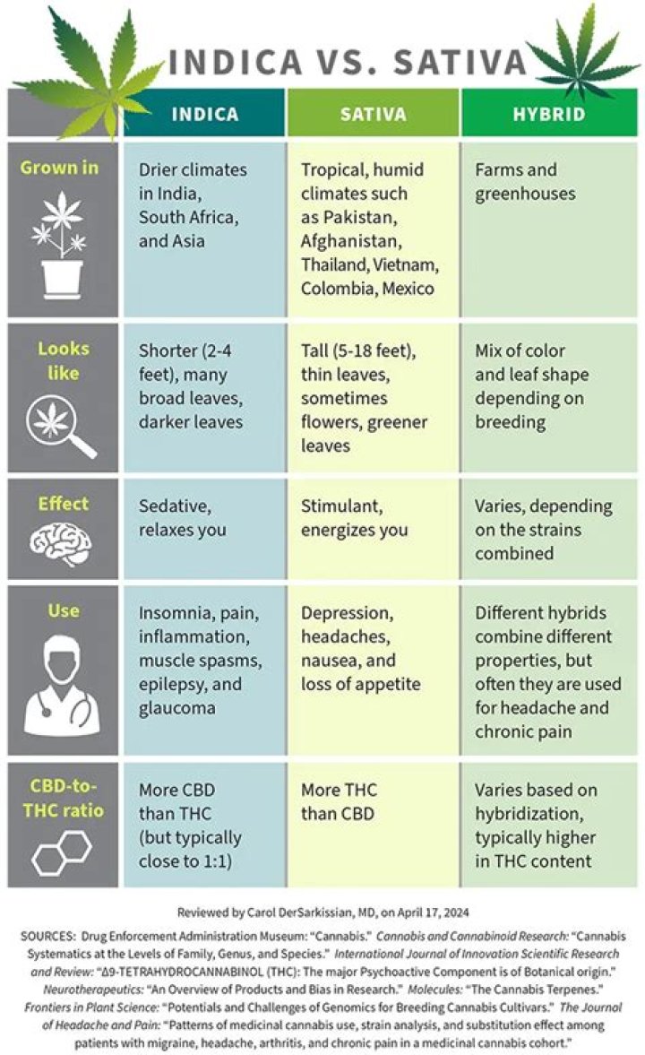 Is Sativa a depressant