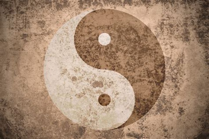 Is snake a yin or yang