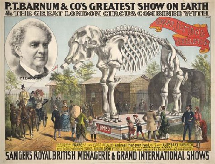 Is there still a Barnum