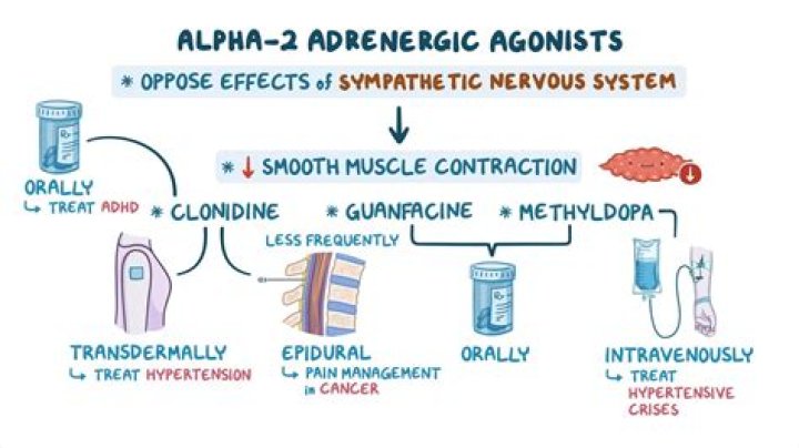 What are agonist drugs
