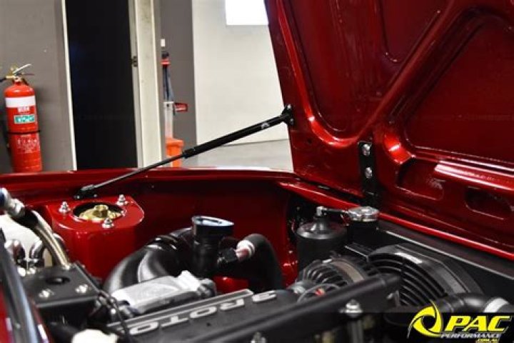 What are bonnet struts