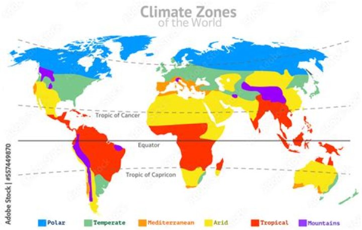 What are climate seats