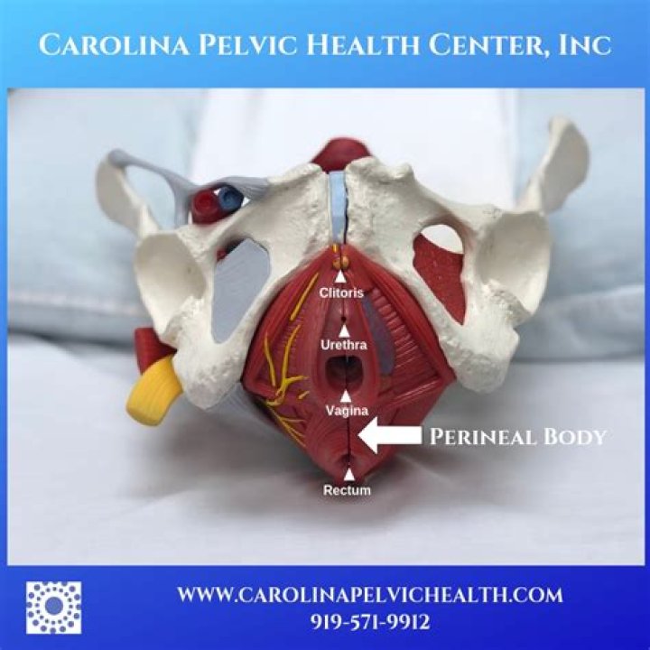 What are Hymenal scars