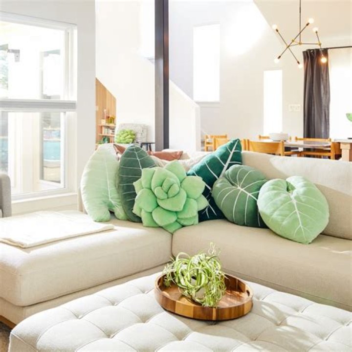 What are plant pillows