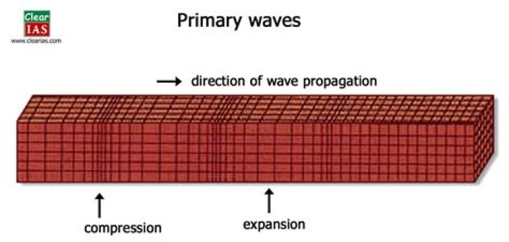 What are primary waves