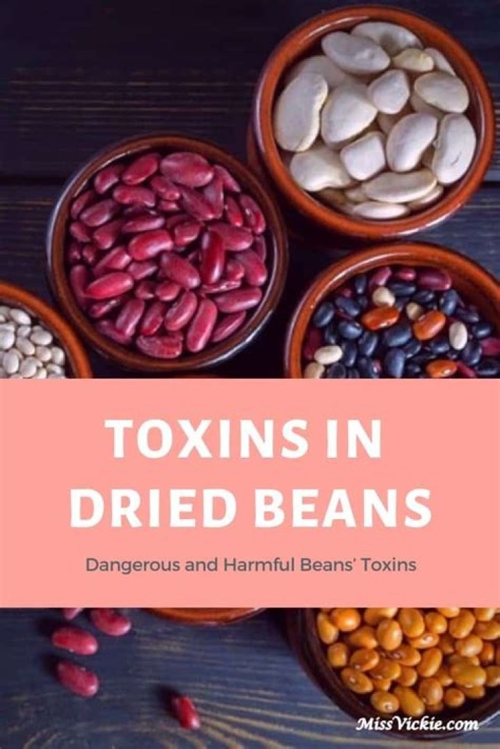 What beans have toxins